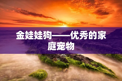 金娃娃狗——优秀的家庭宠物