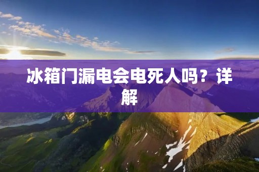 冰箱门漏电会电死人吗？详解
