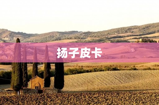 扬子皮卡：中国自主品牌的新起点