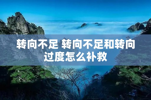 转向不足 转向不足和转向过度怎么补救