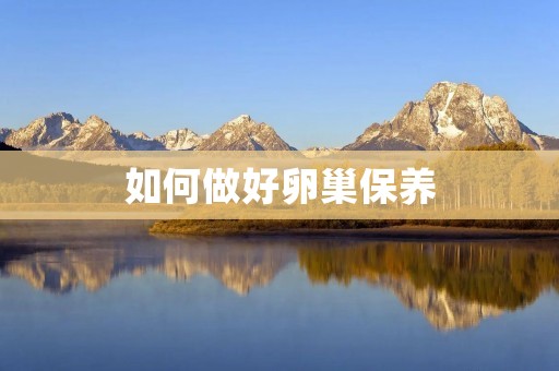 如何做好卵巢保养