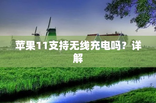 苹果11支持无线充电吗？详解