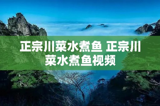 正宗川菜水煮鱼 正宗川菜水煮鱼视频