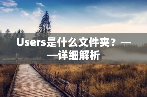 Users是什么文件夹？——详细解析