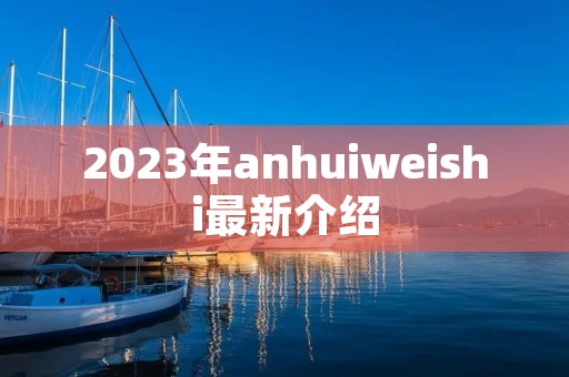 2023年anhuiweishi最新介绍