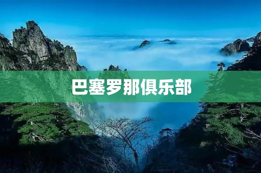 巴塞罗那俱乐部:一个传奇的足球王国 巴塞罗那俱乐部:一个传奇的足球王国