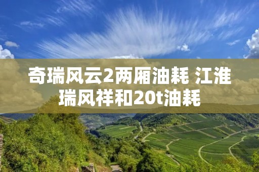 奇瑞风云2两厢油耗 江淮瑞风祥和20t油耗