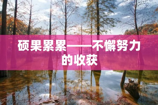 硕果累累——不懈努力的收获