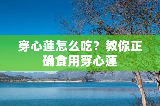 穿心莲怎么吃？教你正确食用穿心莲