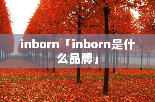 inborn「inborn是什么品牌」
