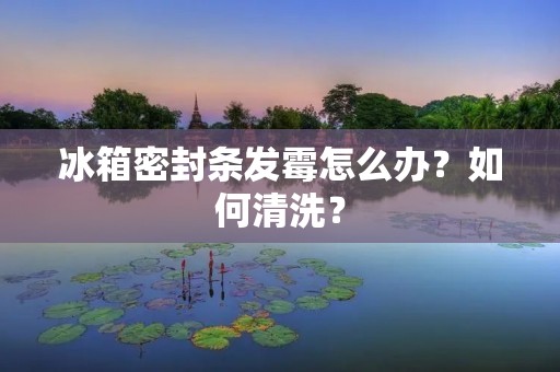 冰箱密封条发霉怎么办？如何清洗？