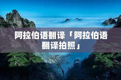 阿拉伯语翻译「阿拉伯语翻译拍照」