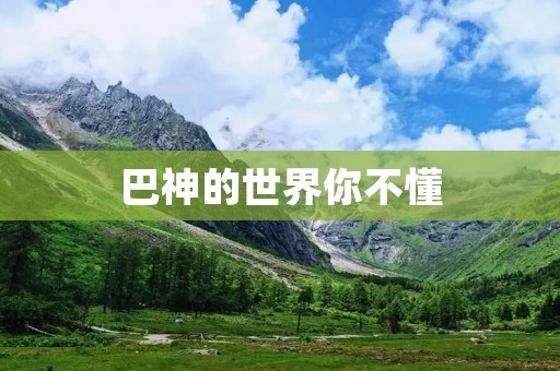 巴神的世界你不懂:一个游戏界的传奇 巴神的世界你不懂:一个游戏界的传奇
