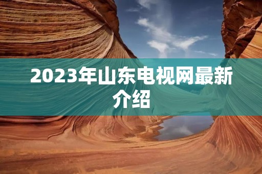 2023年山东电视网最新介绍