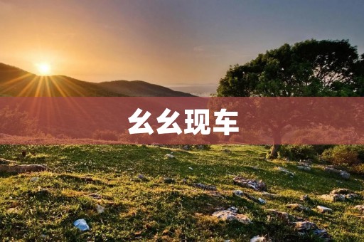 幺幺现车：让二手车交易更简单