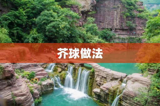 芥球做法：做出美味可口的芥球
