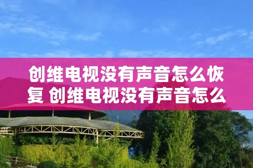 创维电视没有声音怎么恢复 创维电视没有声音怎么回事?