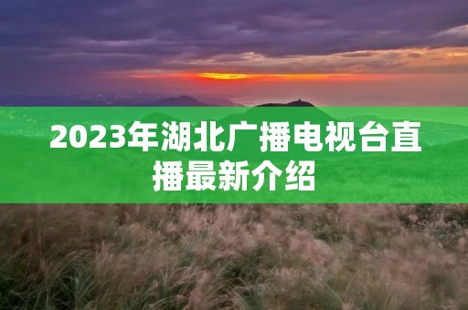 2023年湖北广播电视台直播最新介绍