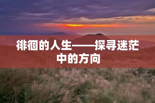 徘徊的人生——探寻迷茫中的方向