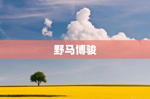 野马博骏:中国品牌强势崛起
