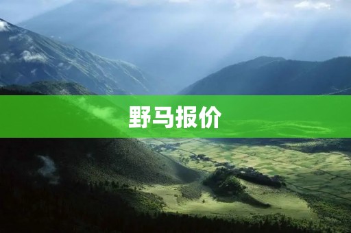 野马报价：降价促销，性价比超高