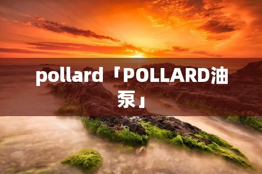 pollard「POLLARD油泵」