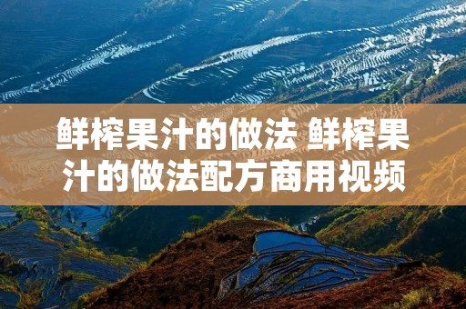 鲜榨果汁的做法 鲜榨果汁的做法配方商用视频