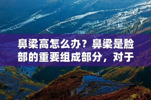 鼻梁高怎么办?鼻梁是脸部的重要组成部分,对于美观和气质的影响也是不可忽视的。但是,不是每个人都天生拥有完美的鼻梁,有些人的鼻梁较低,甚至是扁平的,这会影响到他们的外貌形象。那么,鼻梁高怎么办呢?以下是一些有效的方法,帮助你实现梦想中的高鼻梁。 鼻梁高怎么办?鼻梁是脸部的重要组成部分,对于美观和气质的影响也是不可忽视的。但是,不是每个人都天生拥有完美的鼻梁,有些人的鼻梁较低,甚至是扁平的,这会影响到他们的外貌形象。那么,鼻梁高怎么办呢?以下是一些有效的方法,帮助你实现梦想中的高鼻梁。