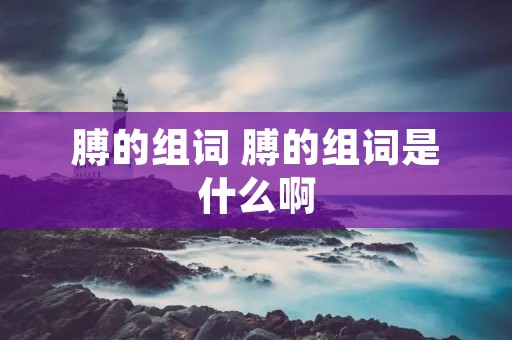 膊的组词 膊的组词是什么啊