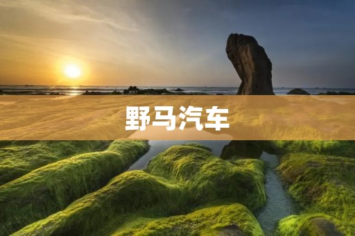 野马汽车：成为中国汽车品牌的代表