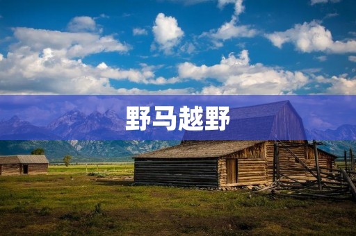 野马越野:挑战自我,探索未知 野马越野:挑战自我,探索未知