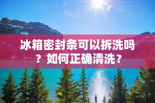 冰箱密封条可以拆洗吗？如何正确清洗？
