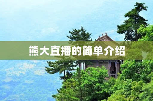 熊大直播的简单介绍 熊大直播的简单介绍