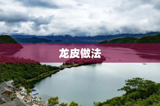 龙皮做法:制作美味可口的龙皮的详细步骤 龙皮做法:制作美味可口的龙皮的详细步骤