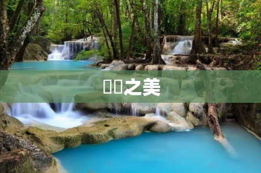 蒟蒻之美:蒟篛的做法 蒟蒻之美:蒟篛的做法