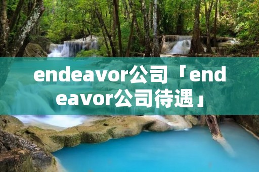 endeavor公司「endeavor公司待遇」