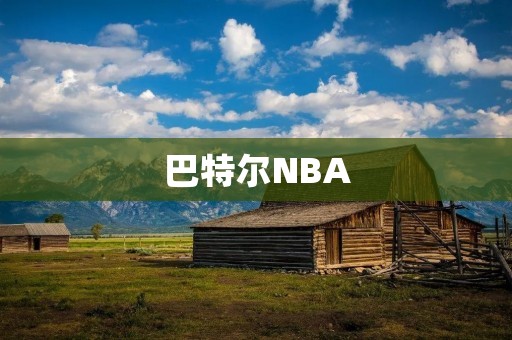 巴特尔NBA：一个被遗忘的传奇