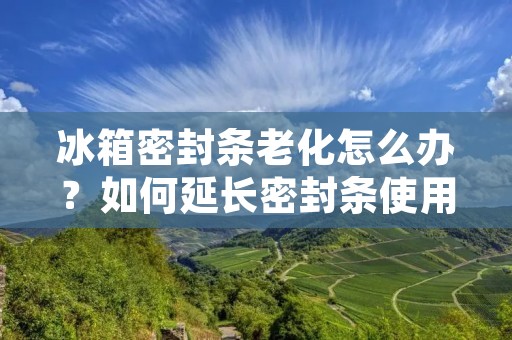 冰箱密封条老化怎么办？如何延长密封条使用寿命？