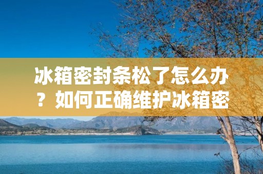 冰箱密封条松了怎么办？如何正确维护冰箱密封条？