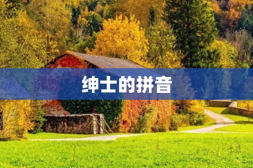 绅士的拼音:传统与现代的碰撞