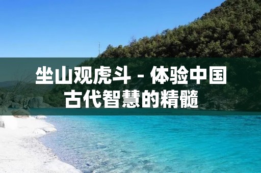 坐山观虎斗 - 体验中国古代智慧的精髓
