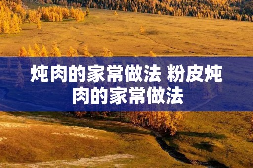 炖肉的家常做法 粉皮炖肉的家常做法