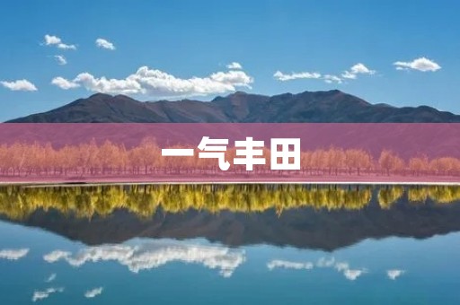 一气丰田:如何成为世界领先的汽车制造商? 一气丰田:如何成为世界领先的汽车制造商?