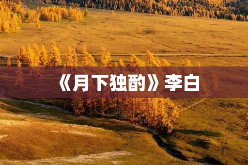 《月下独酌》李白:一首挥洒自由的酒歌 《月下独酌》李白:一首挥洒自由的酒歌
