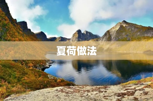 夏荷做法：清香可口的夏日美食