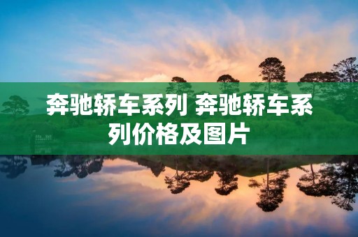 奔驰轿车系列 奔驰轿车系列价格及图片