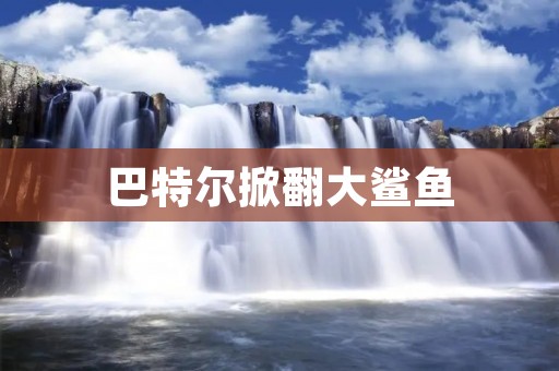 巴特尔掀翻大鲨鱼：一次惊险的海上冒险