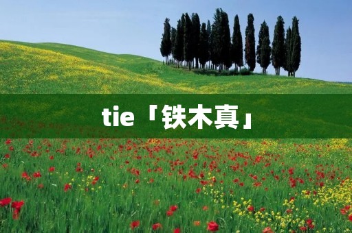 tie「铁木真」