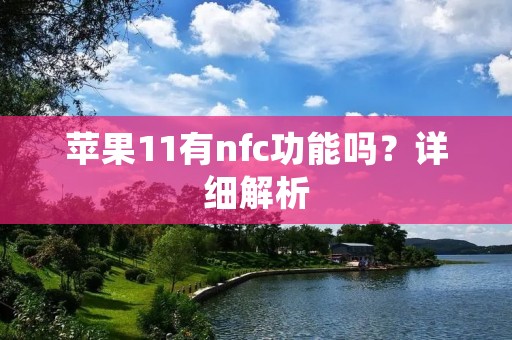 苹果11有nfc功能吗?详细解析