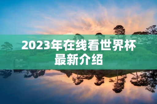 2023年在线看世界杯最新介绍